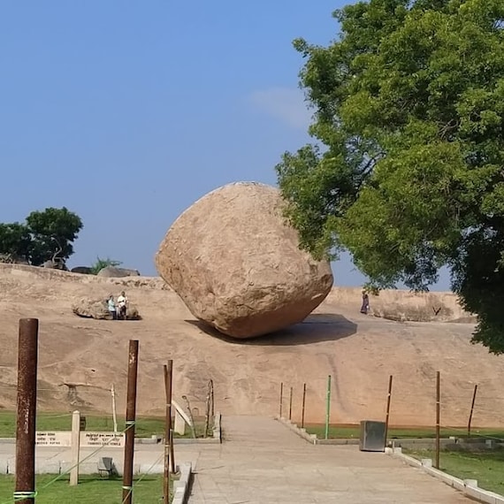 Krishna_s Butterball-1